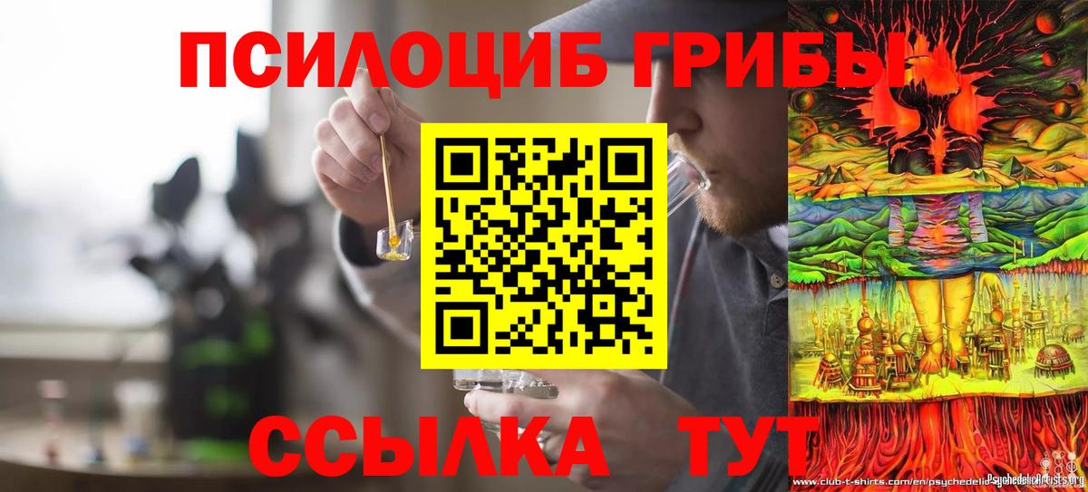 Нижневартовск  Псилоцибиновые грибы Psilocybine cubensis  Вход с VPN 