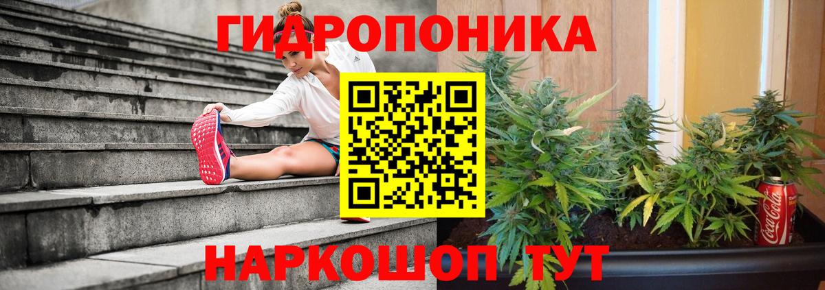 Нижневартовск  Бошки марихуана план  Вход с VPN  Конопля конопля 
